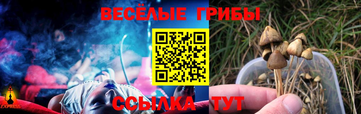Кувандык  Галлюциногенные грибы Magic Shrooms  Вход с VPN 